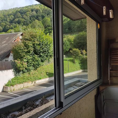 Appartement Confortable Saint Lary Village Экстерьер фото